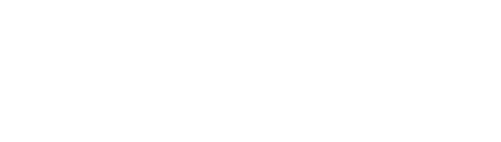 Flamingo Experiences